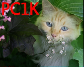 PC1K: 2025-12-01 de PI1DFT