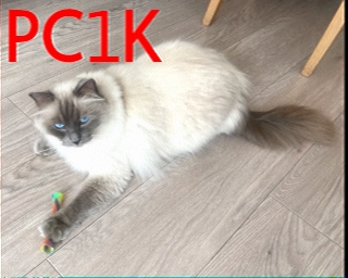 PC1K: 2025-12-19 de PI1DFT