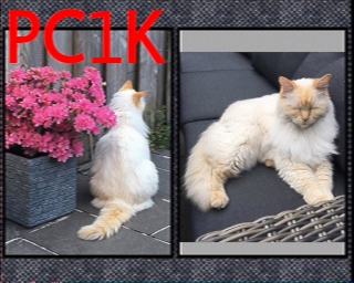 PC1K: 2025-12-20 de PI1DFT