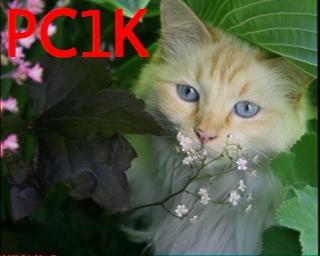 PC1K: 2026-01-03 de PI1DFT