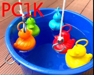 PC1K: 2026-01-05 de PI1DFT