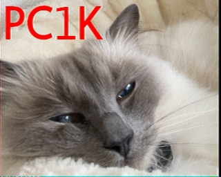PC1K: 2026-01-19 de PI1DFT