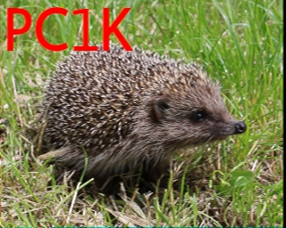 PC1K: 2026-01-19 de PI1DFT