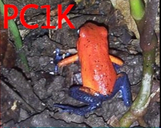 PC1K: 2026-01-23 de PI1DFT