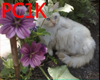 PC1K: 2026-01-26 de PI1DFT