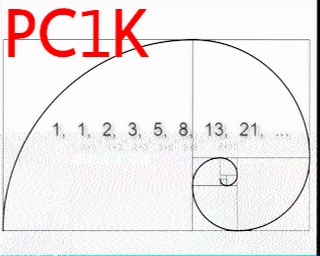 PC1K: 2026-01-26 de PI1DFT