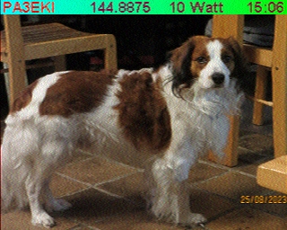 PA3EKI: 2026-02-24 de PI1DFT