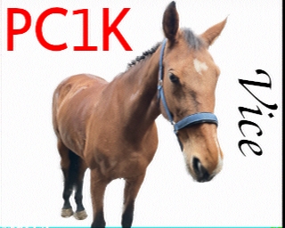 PC1K: 2026-04-08 de PI1DFT