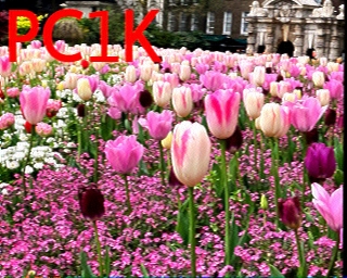PC1K: 2026-04-21 de PI1DFT