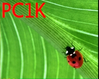 PC1K: 2026-05-01 de PI1DFT