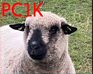 PC1K: 2026-05-04 de PI1DFT