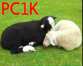 PC1K: 2026-05-07 de PI1DFT