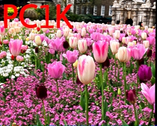 PC1K: 2026-06-08 de PI1DFT