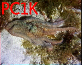 PC1K: 2026-06-12 de PI1DFT