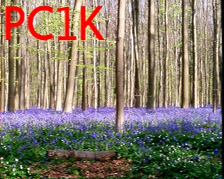 PC1K: 2026-06-18 de PI1DFT