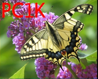 PC1K: 2026-06-20 de PI1DFT