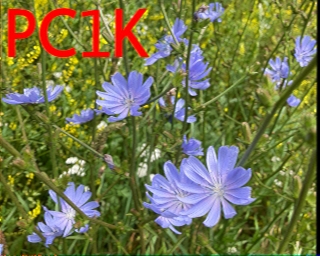 PC1K: 2026-06-20 de PI1DFT