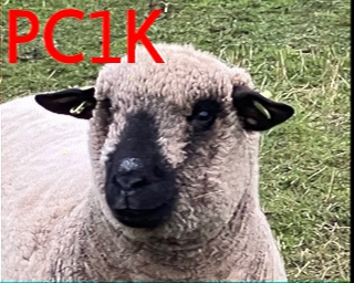 PC1K: 2026-06-22 de PI1DFT