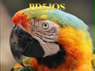 PD5JOS: 2026-06-22 de PI1DFT