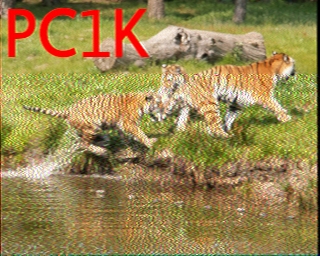 PC1K: 2026-06-29 de PI1DFT