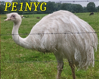 PE1NYG: 2026-07-04 de PI1DFT