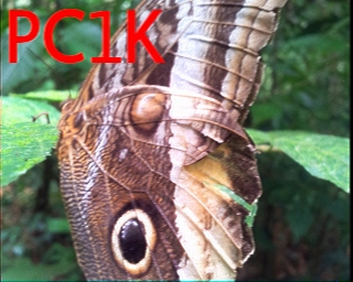 PC1K: 2026-07-06 de PI1DFT