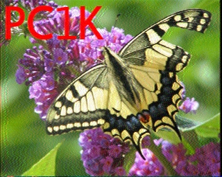 PC1K: 2026-07-11 de PI1DFT