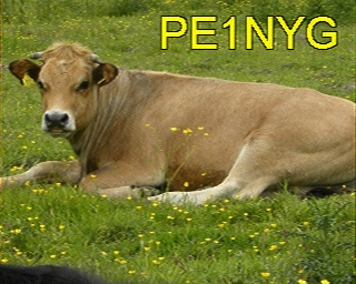PE1NYG: 2026-07-12 de PI1DFT