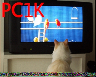 PC1K: 2026-07-14 de PI1DFT