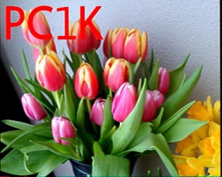 PC1K: 2026-07-18 de PI1DFT