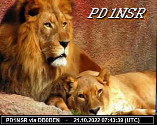 PD1NSR: 2022102107 de PI1DFT