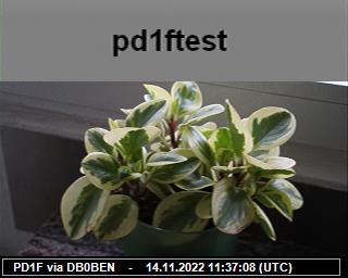 PD1F: 2022111411 de PI1DFT
