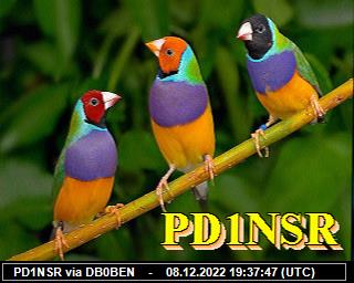 PD1NSR: 2022120819 de PI1DFT