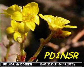 PD1NSR: 2023021021 de PI1DFT
