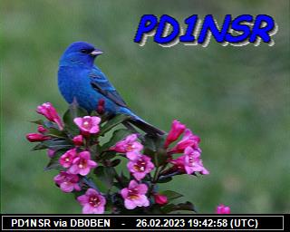 PD1NSR: 2023022619 de PI1DFT