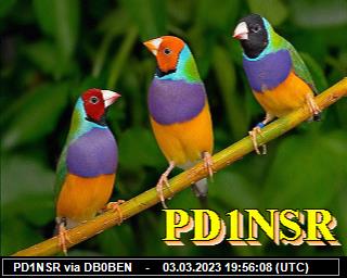 PD1NSR: 2023030319 de PI1DFT