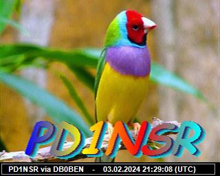 PD1NSR: 2024020321 de DB0BEN