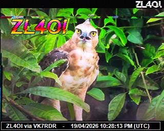 ZL4OI: 2026042000 de PI1DFT