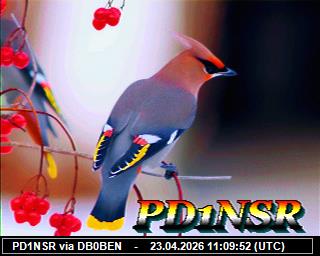 PD1NSR: 2026042313 de PI1DFT