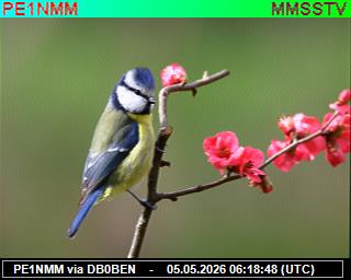 PE1NMM: 2026050508 de PI1DFT