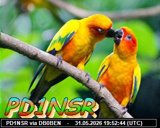 PD1NSR: 2026053121 de DB0BEN