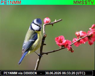 PE1NMM: 2026063008 de PI1DFT