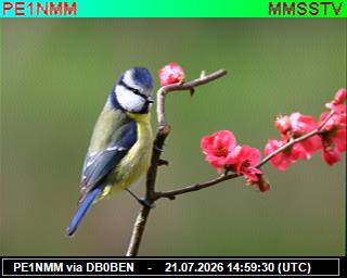 PE1NMM: 2026072117 de DB0BEN