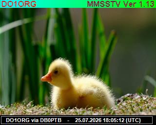 DO1ORG: 2026072520 de PI1DFT