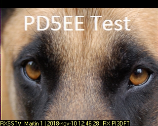 PD5EE: 2018-11-10 de PI3DFT