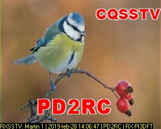 PD2RC: 2019-02-28 de PI3DFT