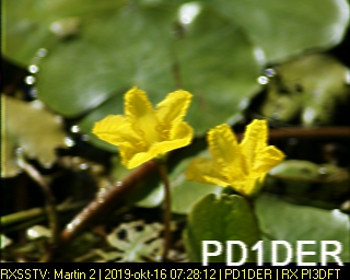 PD1DER: 2019-10-16 de PI3DFT