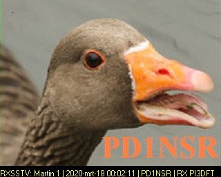 PD1NSR: 2020-03-18 de PI3DFT