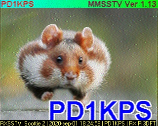 PD1KPS: 2020-09-01 de PI3DFT
