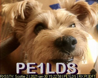 PE1LDS: 2021-01-30 de PI3DFT